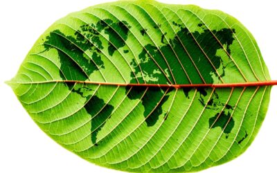 Agoprene: Muebles que respetan el planeta