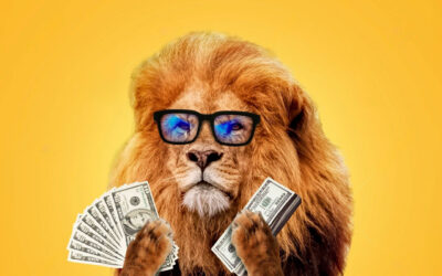 Cuidar mi dinero con Altex Asset Management