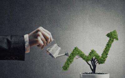 Cómo hacer crecer una empresa pequeña