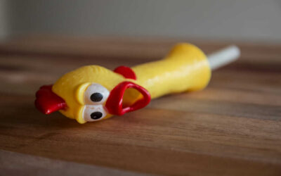 Como pollo sin cabeza. Cortito y al pie