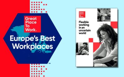 La empresa ideal … no existe