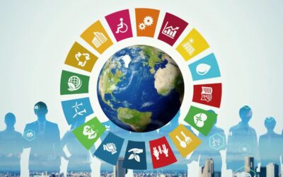 La empresa social y su aportación a la sociedad