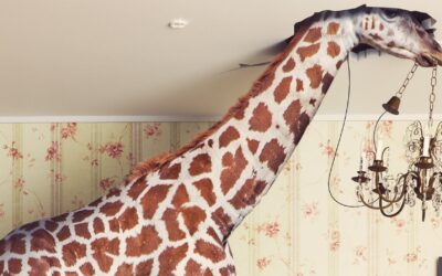 Hacer crecer tu PYME