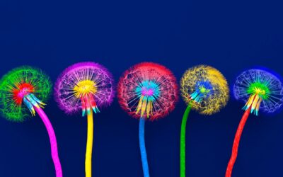 Neurodiversidad como ventaja competitiva en equipos