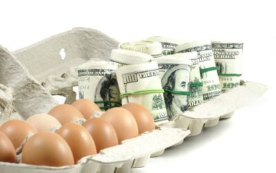 No pongas todos los huevos en la misma cesta