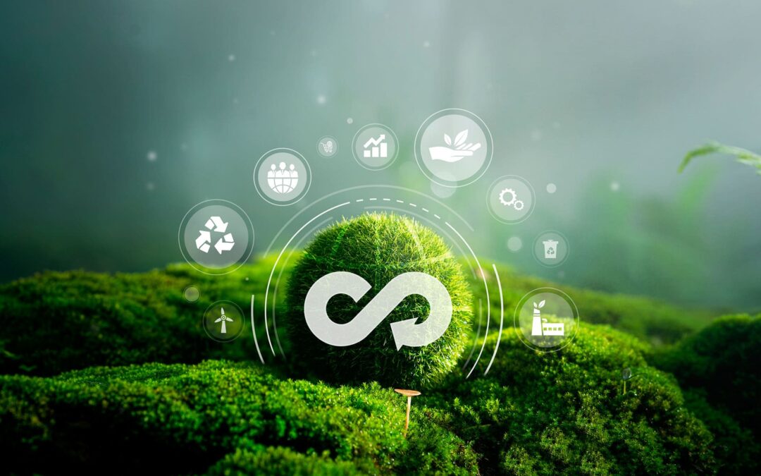 Plataformas de reventa circular: más allá de la segunda mano