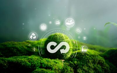 Plataformas de reventa circular: más allá de la segunda mano