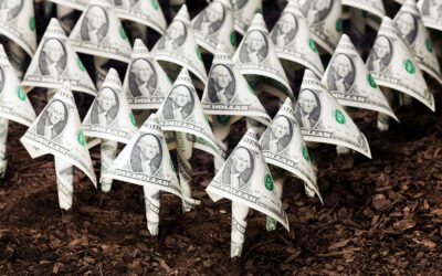 Private Equity vs Venture Funds ¿cómo funcionan?