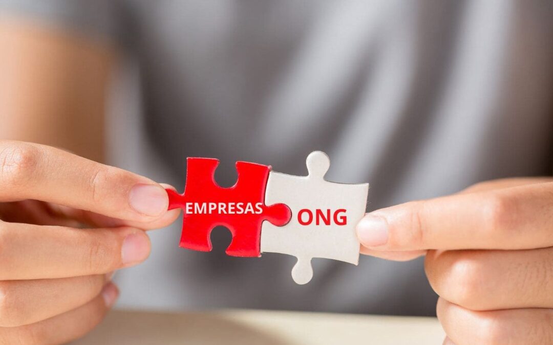 ¿Puede una ONG ser una empresa?