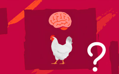 ¿Tus vendedores hablan al cerebro equivocado?