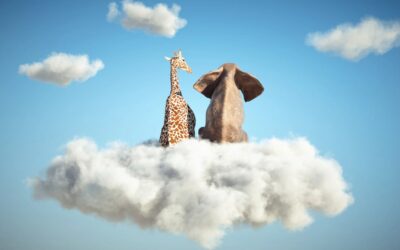 ¡Alucina, vecina! Alucinaciones en la IA