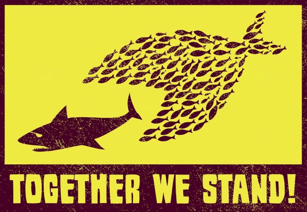 gran empresa compra una PYME juntos somos más grandes