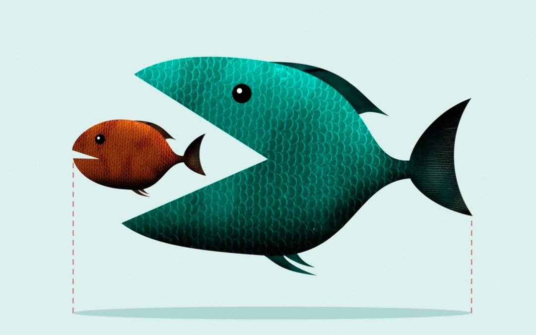 El pez chico… La gran empresa compra una PYME