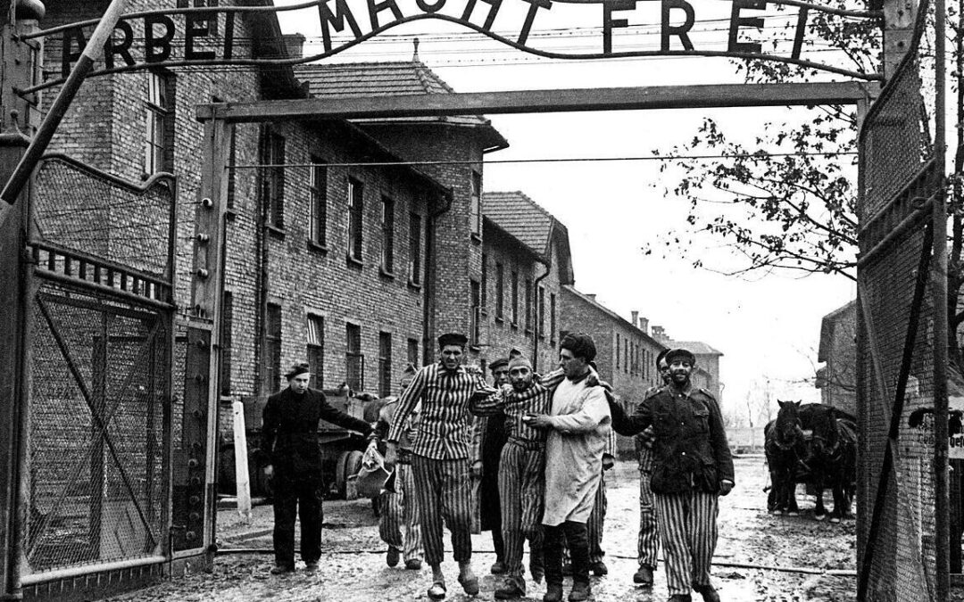 ¡Steinberg! La montaña de piedra que se convirtió en imperio